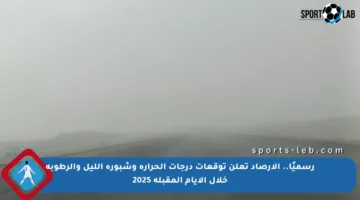 رسميًا.. الأرصاد تعلن توقعات درجات الحرارة وشبورة الليل والرطوبة خلال الأيام المقبلة 2025